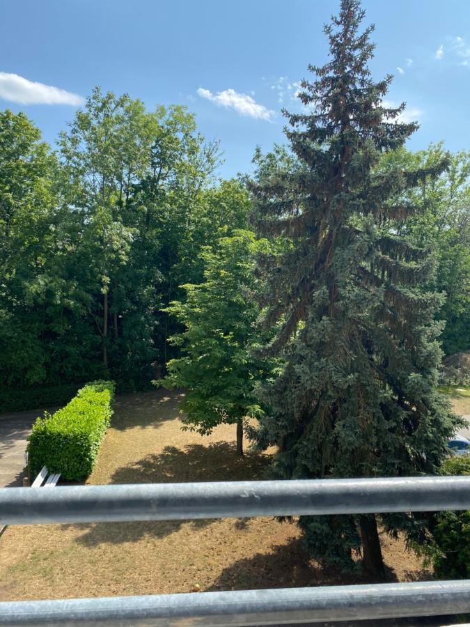 Zentrales Privatapartment Bad Homburg vor der Höhe Eksteriør bilde